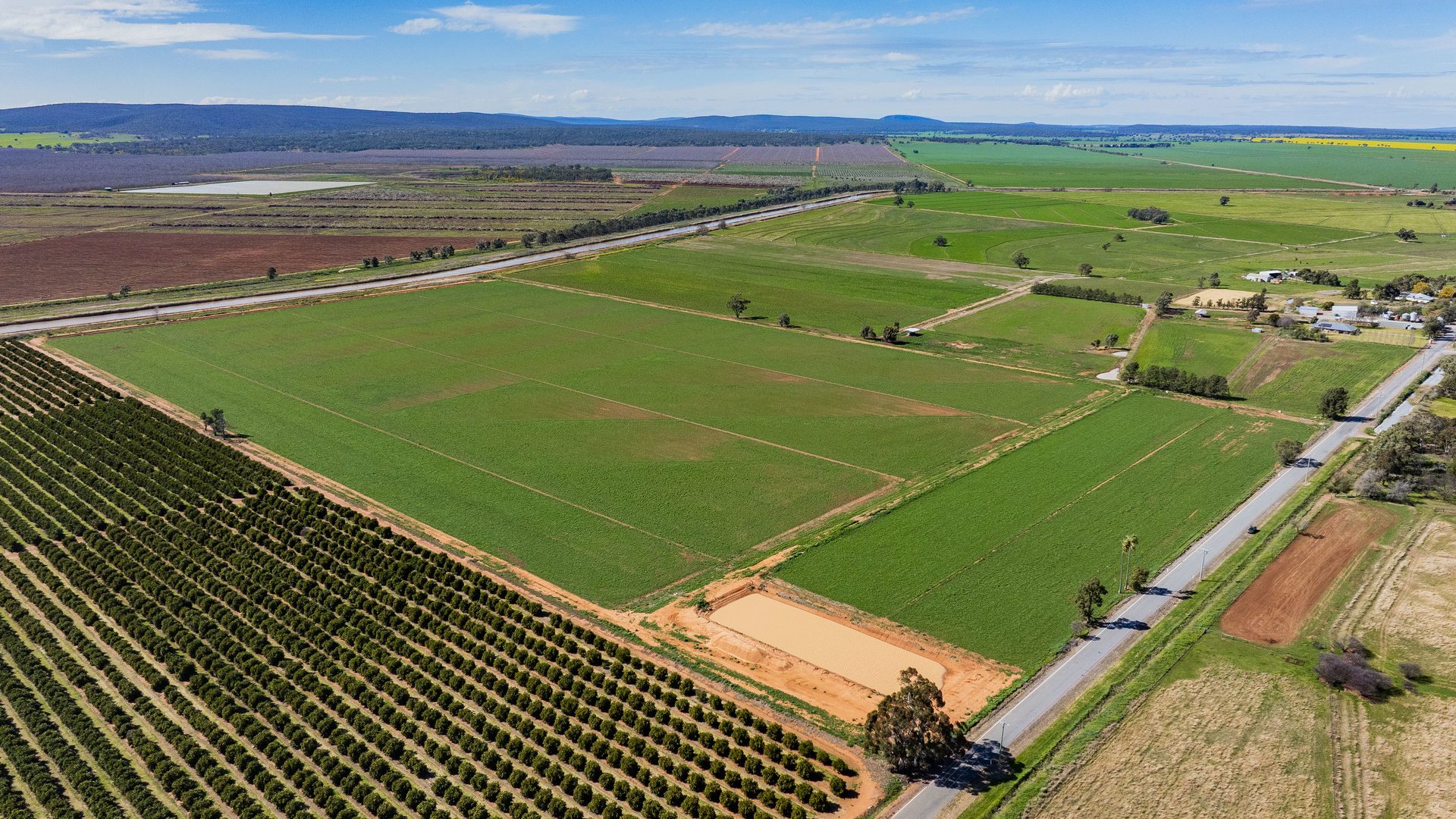 For Sale - 77 Fivebough Road - New Property in Leeton - Real Estate by Jason Haines