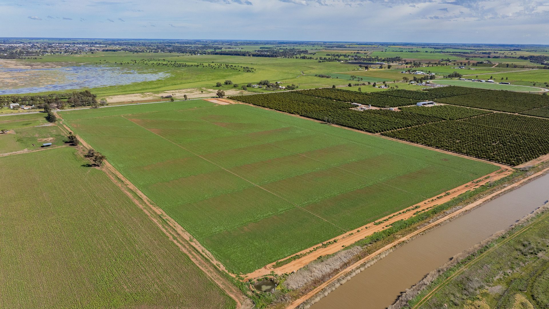 For Sale - 77 Fivebough Road - New Property in Leeton - Real Estate by Jason Haines