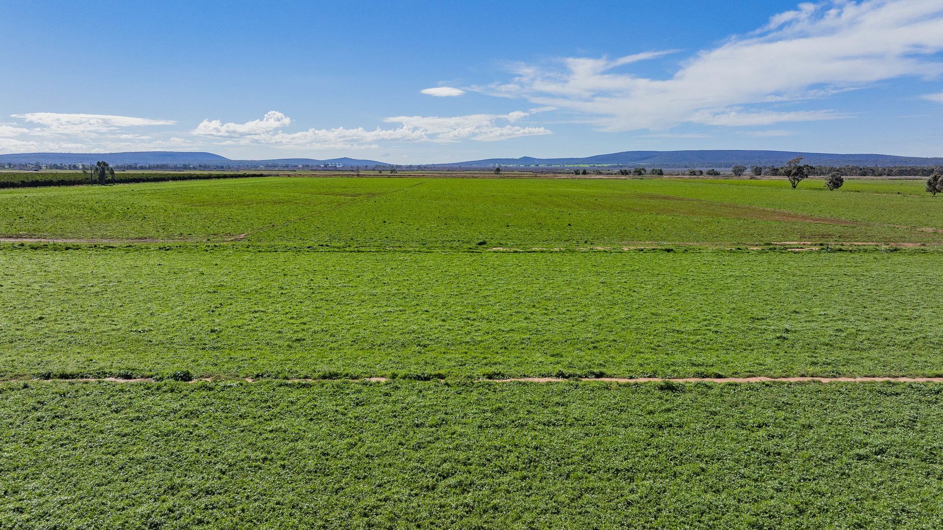 For Sale - 77 Fivebough Road - New Property in Leeton - Real Estate by Jason Haines