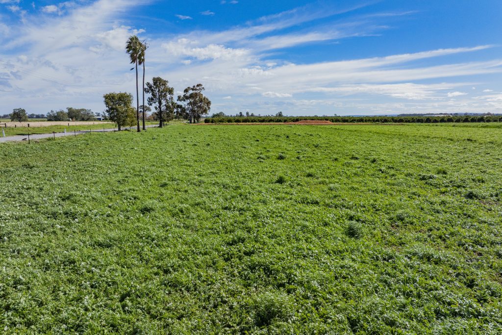 For Sale - 77 Fivebough Road - New Property in Leeton - Real Estate by Jason Haines