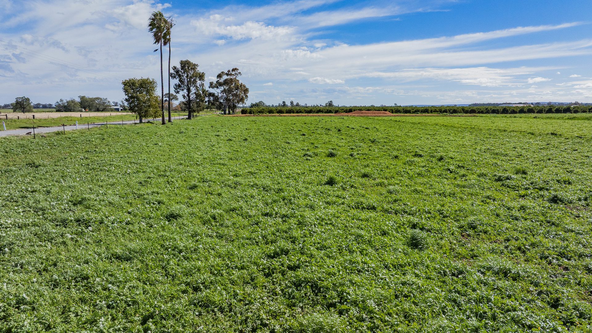 For Sale - 77 Fivebough Road - New Property in Leeton - Real Estate by Jason Haines