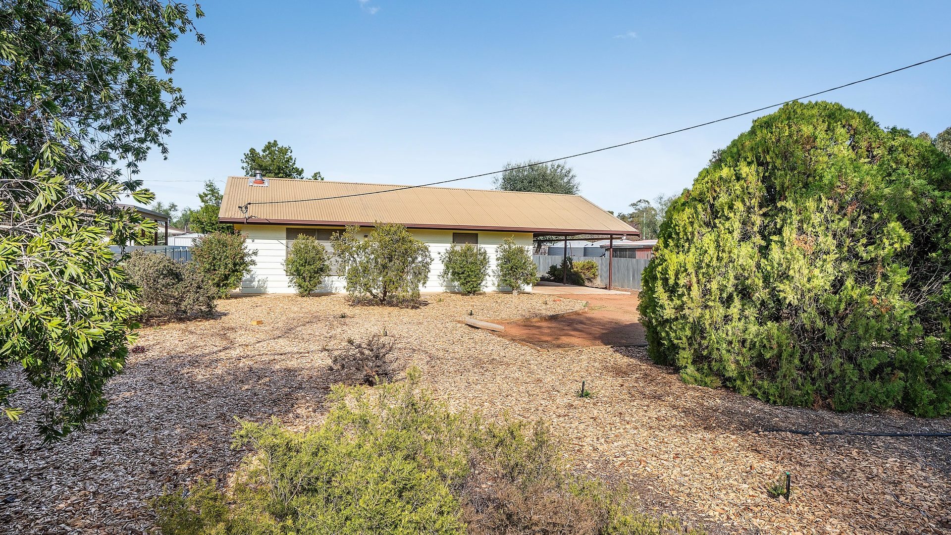 For Sale - 124 Yapunyah Street - New Property in Barellan - Real Estate by Sophie Litchfield