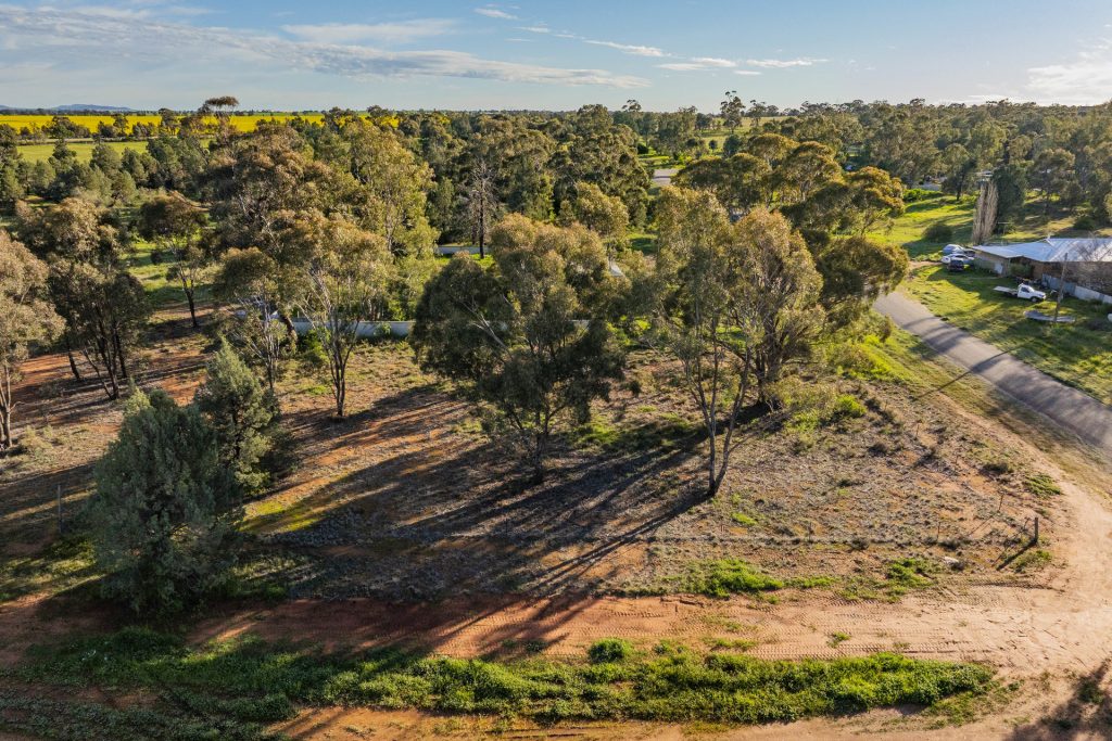 For Sale - 38 Brookong Street - New Property in Grong Grong - Real Estate by Sophie Litchfield