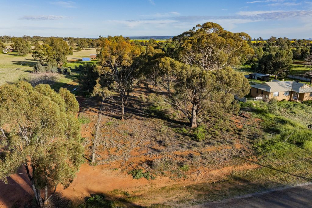 For Sale - 38 Brookong Street - New Property in Grong Grong - Real Estate by Sophie Litchfield