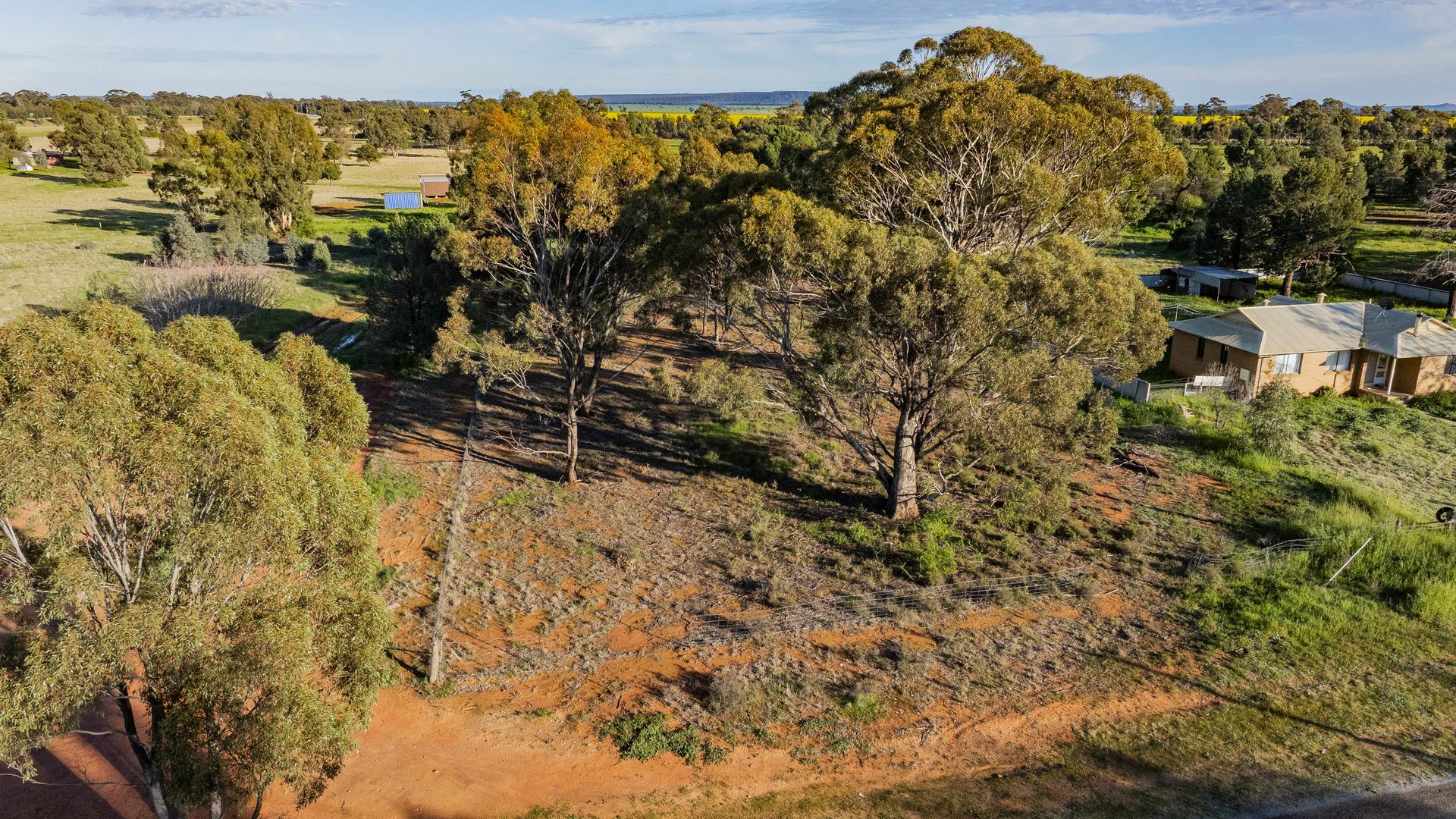 For Sale - 38 Brookong Street - New Property in Grong Grong - Real Estate by Sophie Litchfield