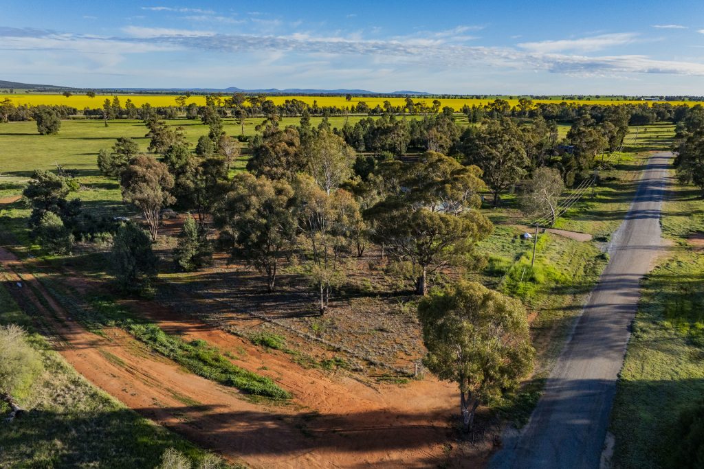 For Sale - 38 Brookong Street - New Property in Grong Grong - Real Estate by Sophie Litchfield