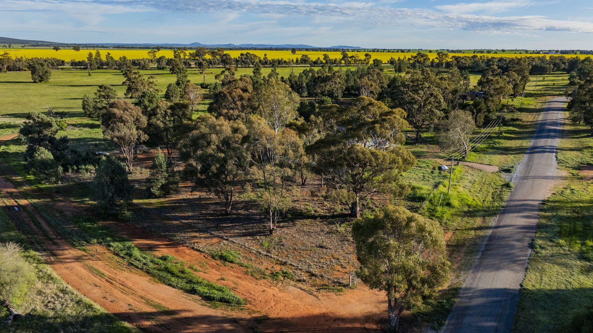 For Sale - 38 Brookong Street - New Property in Grong Grong - Real Estate by Sophie Litchfield