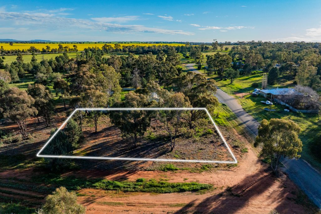 For Sale - 38 Brookong Street - New Property in Grong Grong - Real Estate by Sophie Litchfield