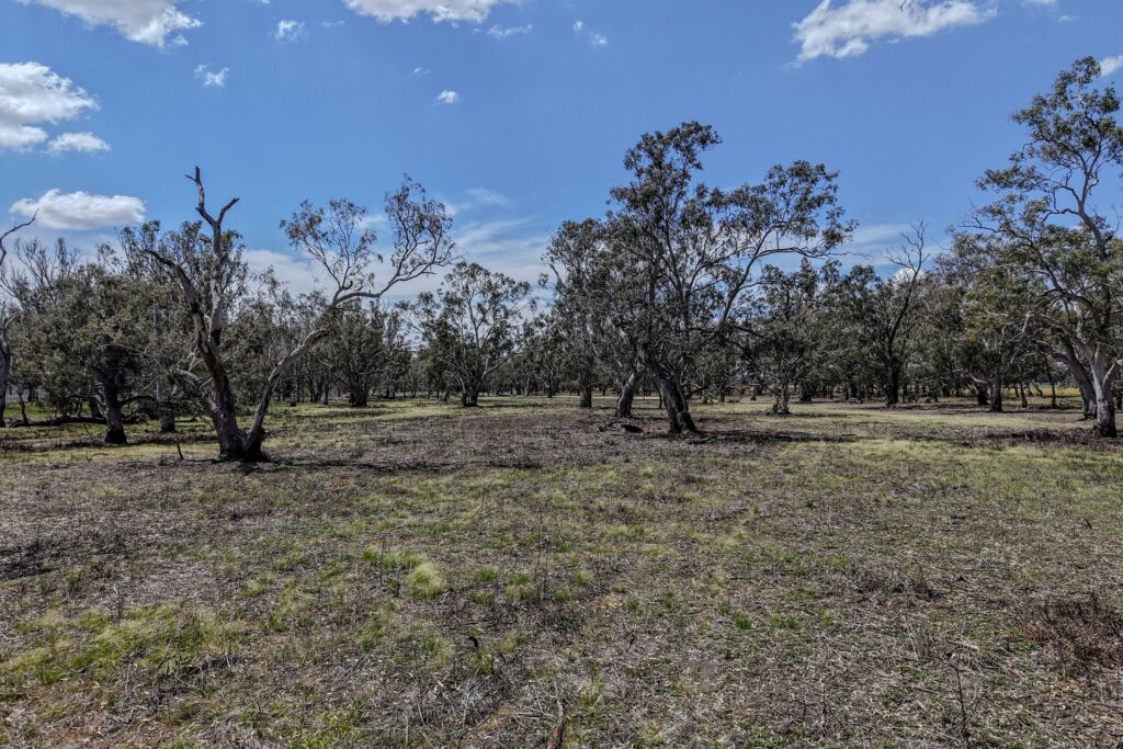 Sold - 1359 Saddleback Road - New Property in Forbes - Real Estate by Andrew Pellow