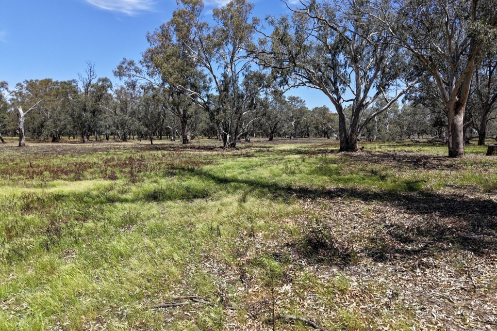 Sold - 1359 Saddleback Road - New Property in Forbes - Real Estate by Andrew Pellow