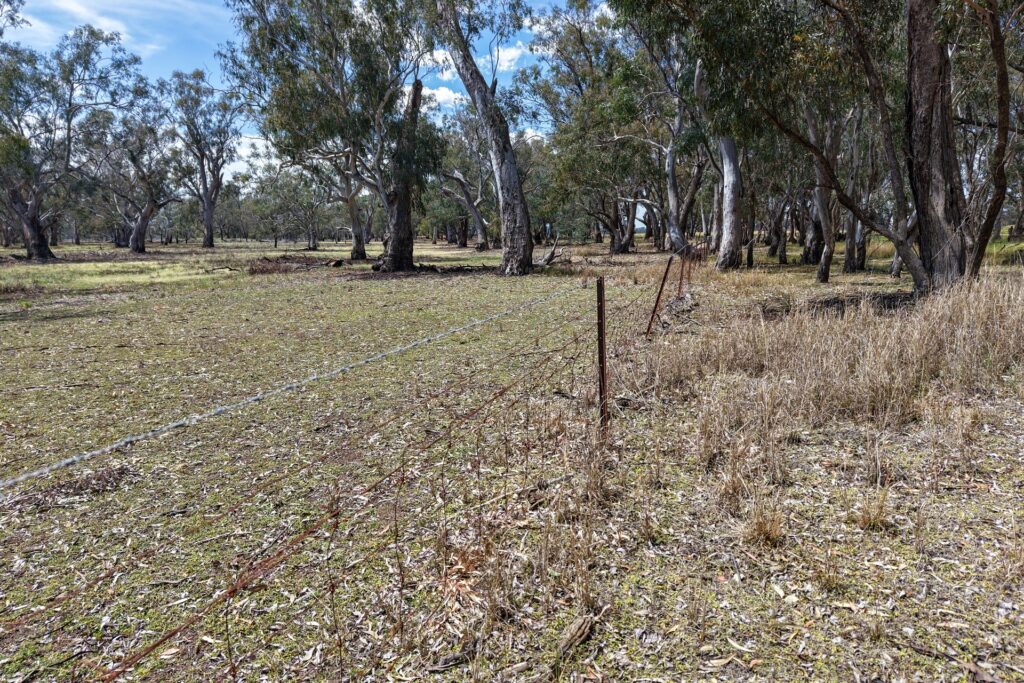 Sold - 1359 Saddleback Road - New Property in Forbes - Real Estate by Andrew Pellow