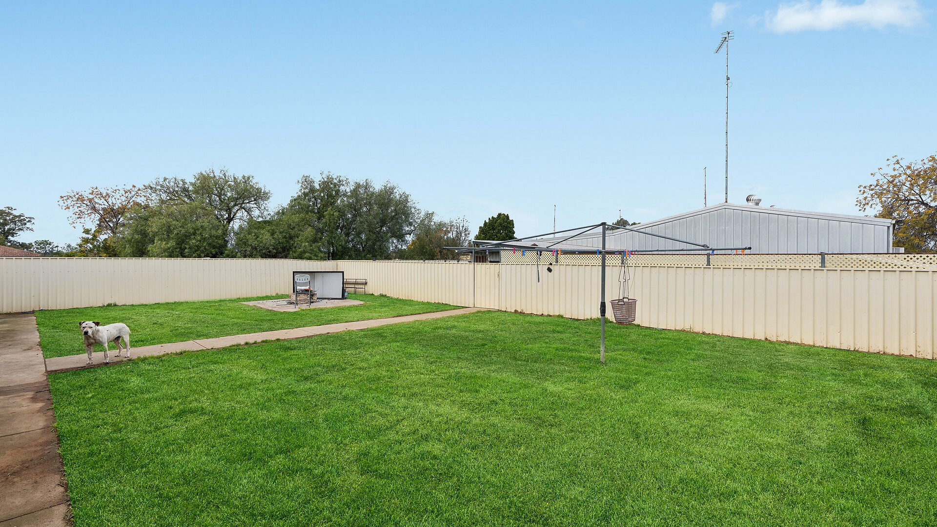 Sold - 70 Cassin Street - New Property in Wyalong - Real Estate by Lachlan Pellow