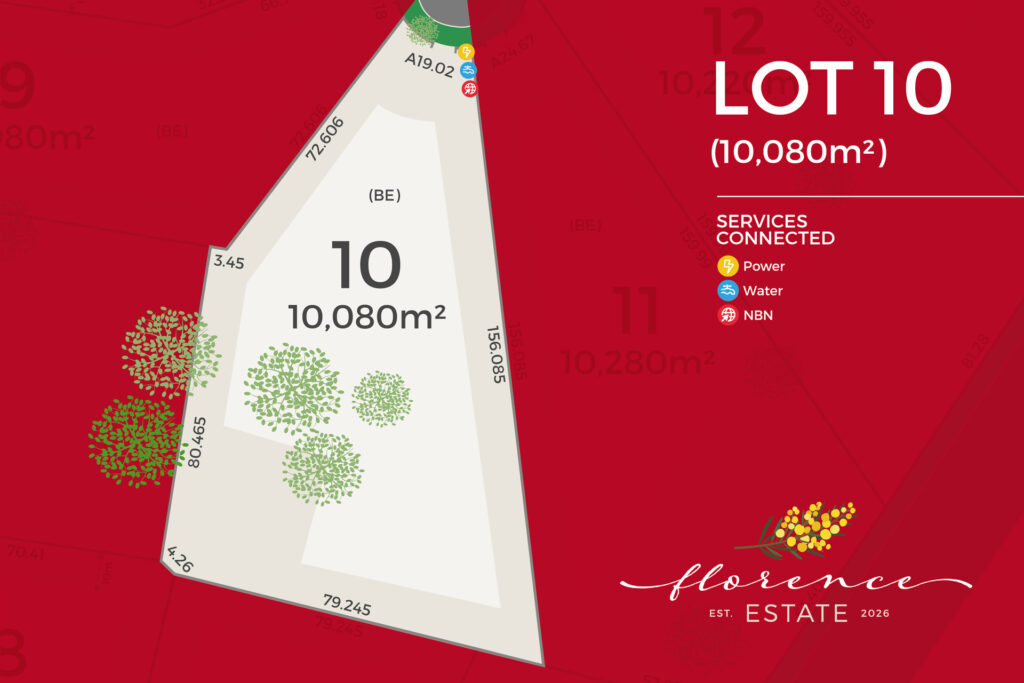 For Sale - 39 Kurrajong Street - New Property in Temora - Real Estate by Lachlan Pellow