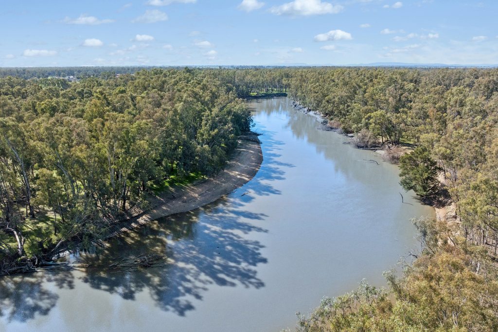 For Sale - 79 Yanco Weir Road - New Property in Leeton - Real Estate by Jason Haines