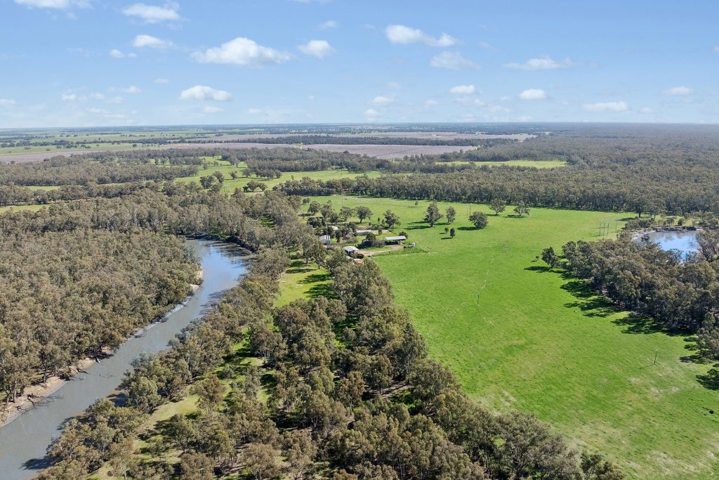 For Sale - 79 Yanco Weir Road - New Property in Leeton - Real Estate by Jason Haines