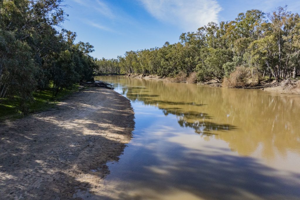 For Sale - 79 Yanco Weir Road - New Property in Leeton - Real Estate by Jason Haines