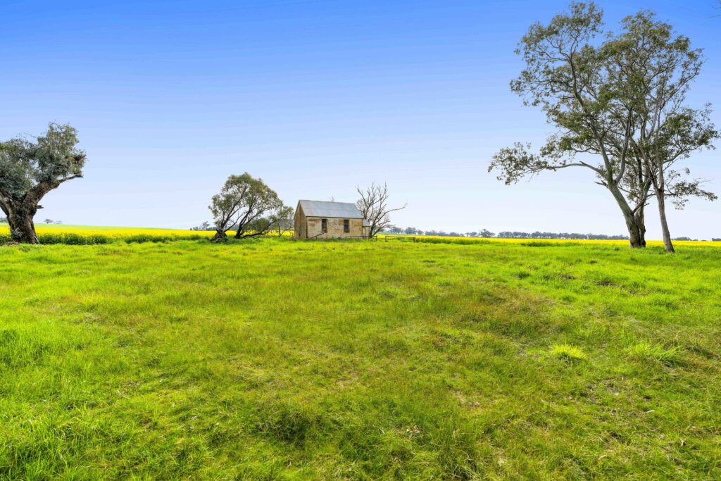 For Sale - 450 Cullinga Road - New Property in Cootamundra - Real Estate by Andrew Pellow