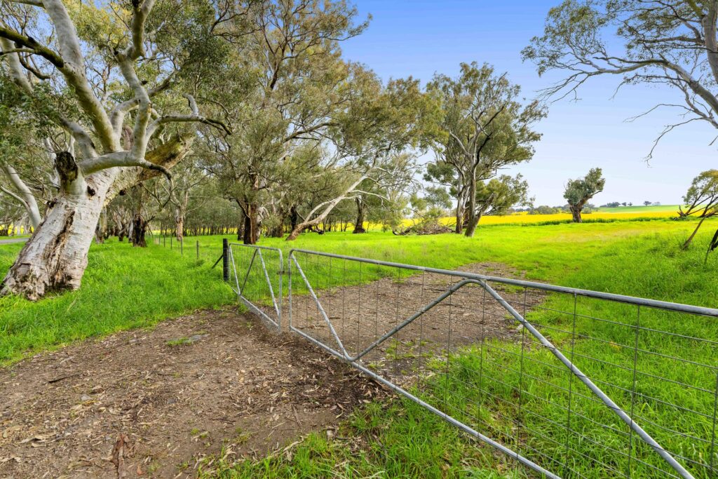 For Sale - 450 Cullinga Road - New Property in Cootamundra - Real Estate by Andrew Pellow