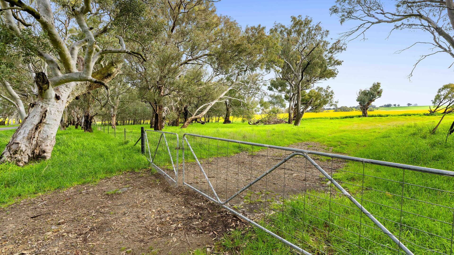 For Sale - 450 Cullinga Road - New Property in Cootamundra - Real Estate by Andrew Pellow