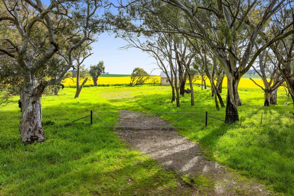 For Sale - 450 Cullinga Road - New Property in Cootamundra - Real Estate by Andrew Pellow