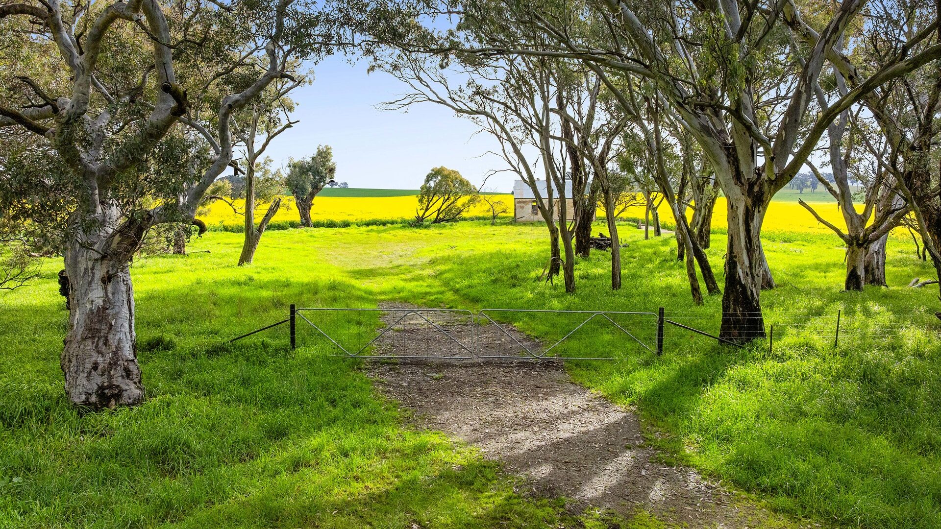 For Sale - 450 Cullinga Road - New Property in Cootamundra - Real Estate by Andrew Pellow