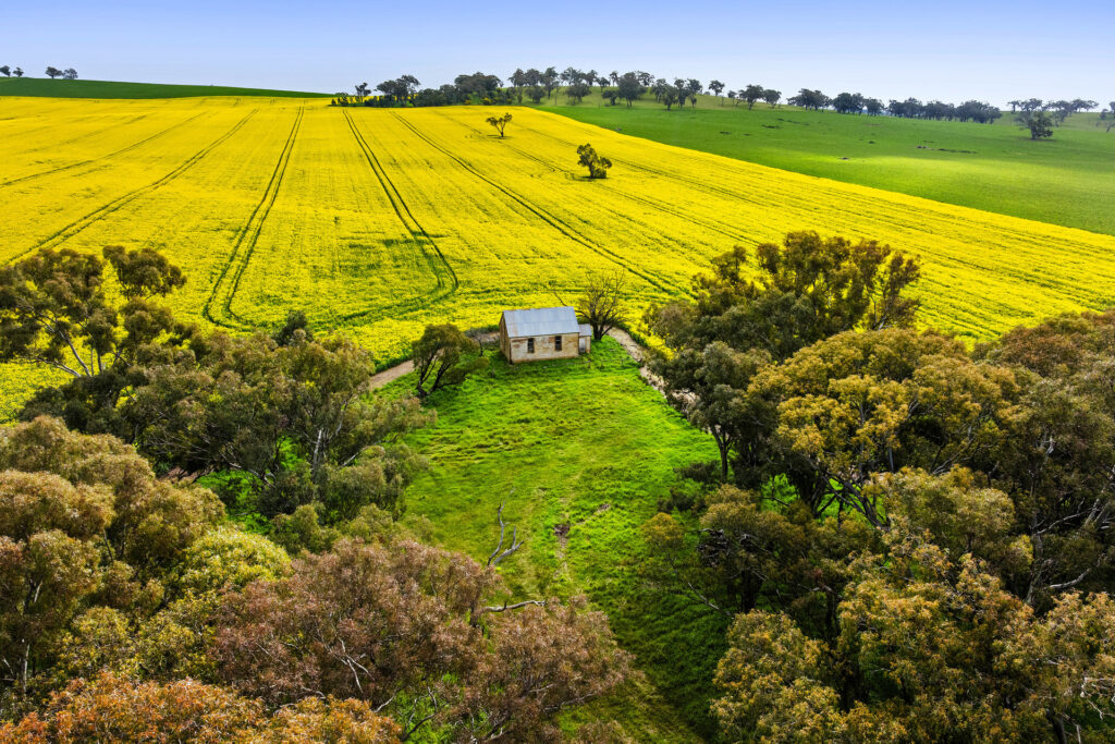 For Sale - 450 Cullinga Road - New Property in Cootamundra - Real Estate by Andrew Pellow