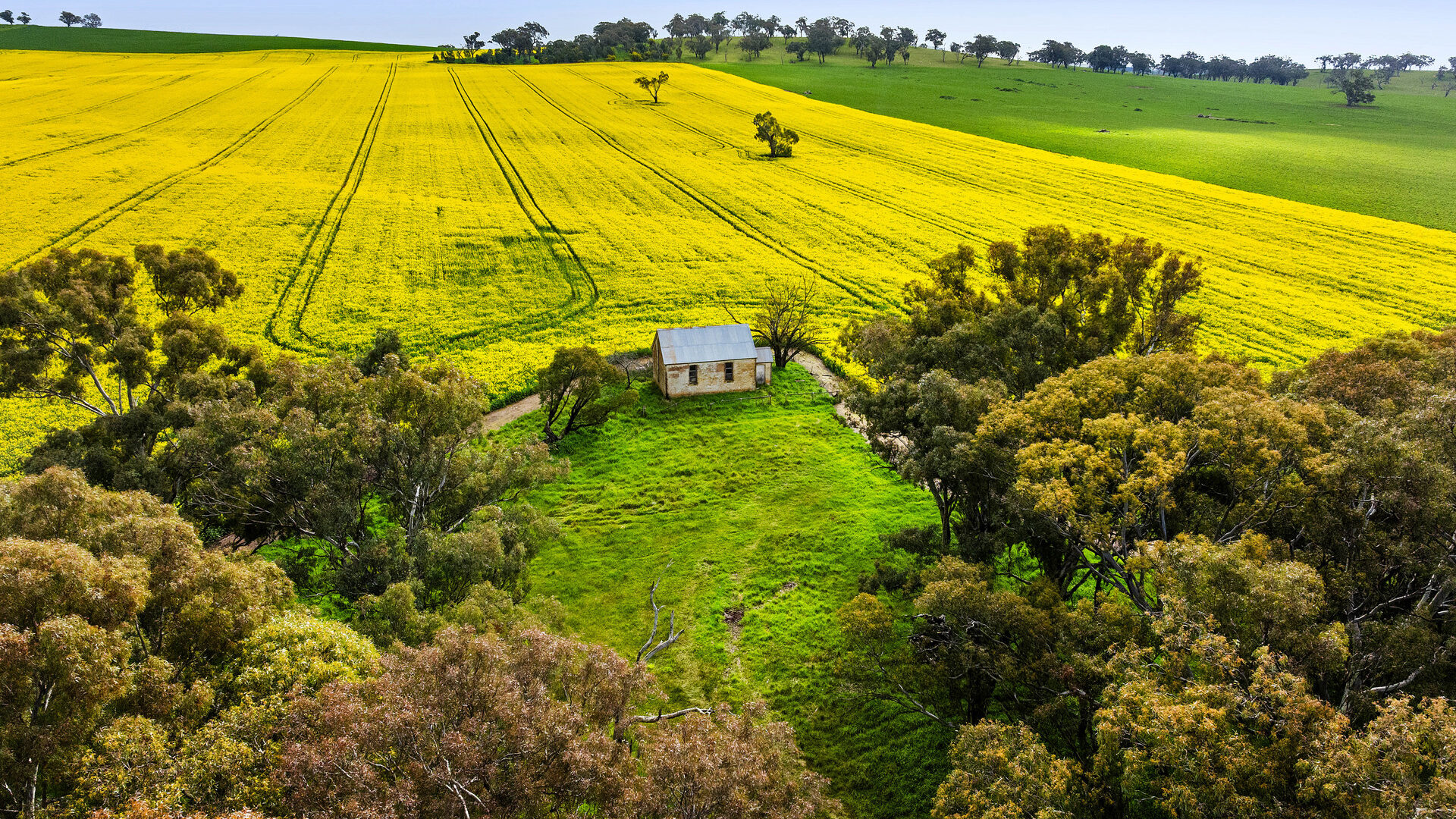 For Sale - 450 Cullinga Road - New Property in Cootamundra - Real Estate by Andrew Pellow