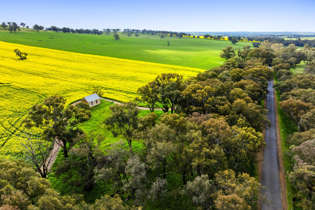 For Sale - 450 Cullinga Road - New Property in Cootamundra - Real Estate by Andrew Pellow