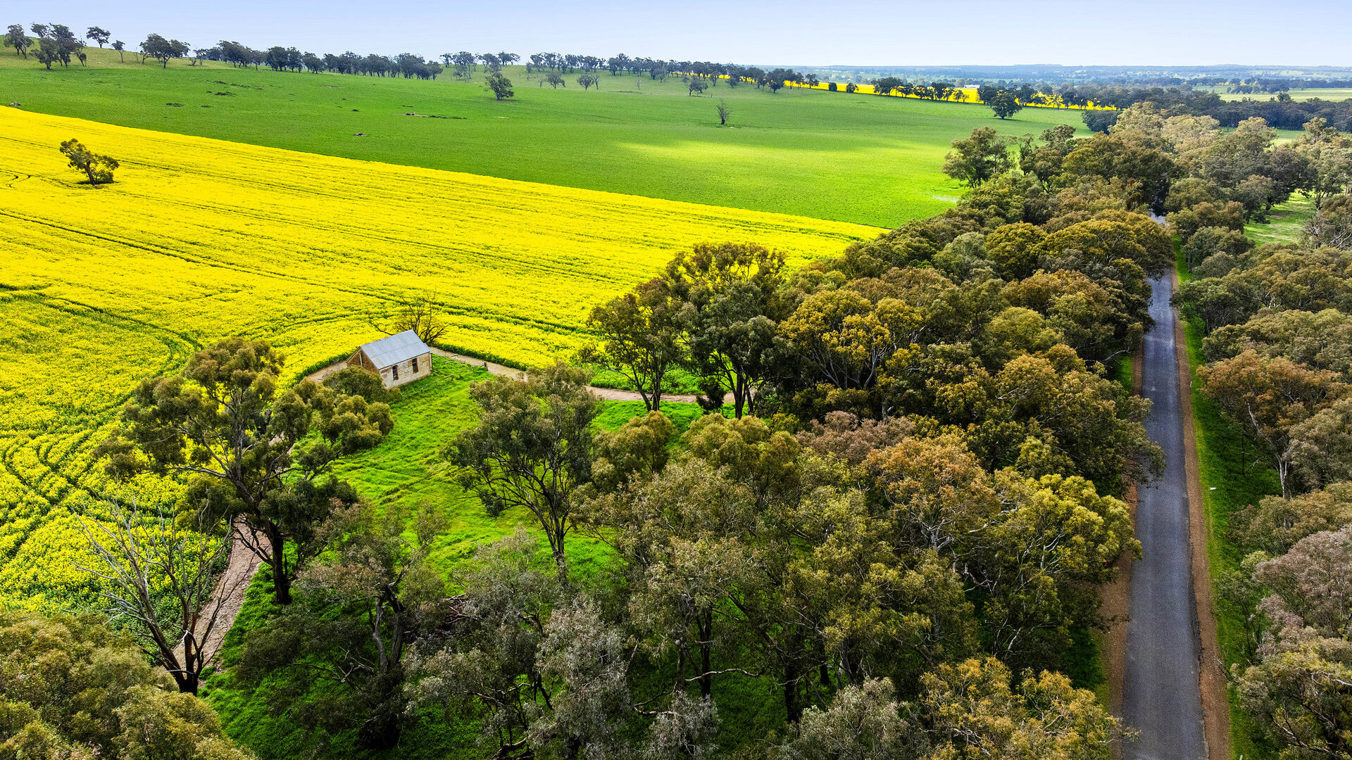 For Sale - 450 Cullinga Road - New Property in Cootamundra - Real Estate by Andrew Pellow