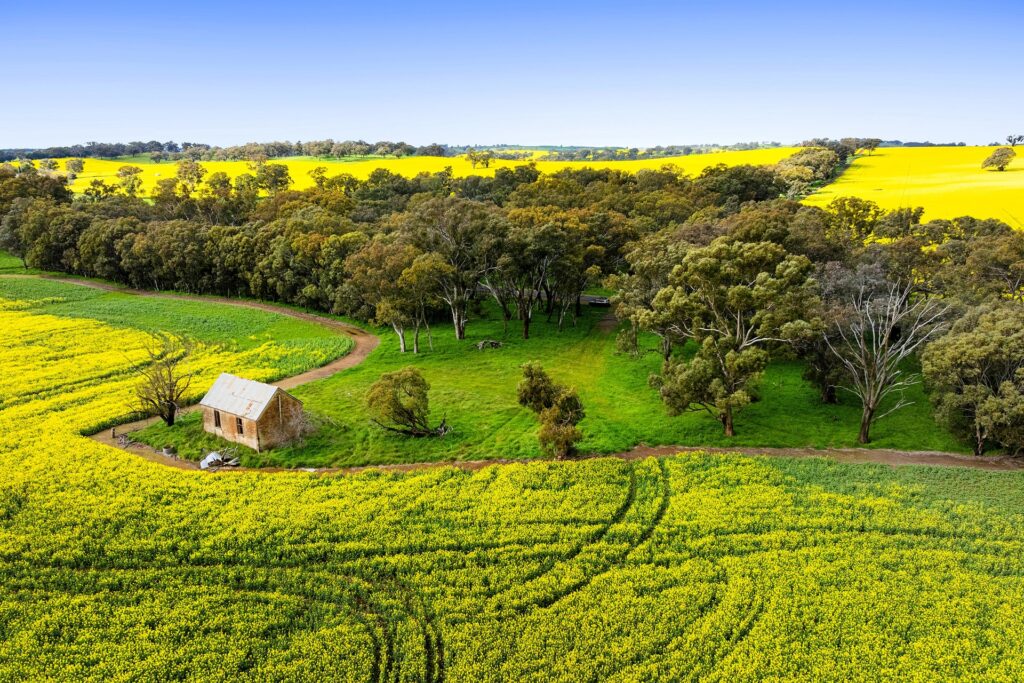 For Sale - 450 Cullinga Road - New Property in Cootamundra - Real Estate by Andrew Pellow