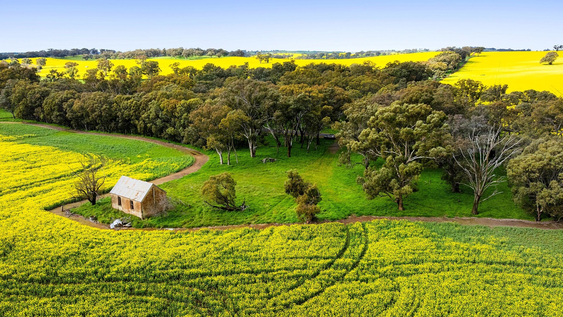 For Sale - 450 Cullinga Road - New Property in Cootamundra - Real Estate by Andrew Pellow