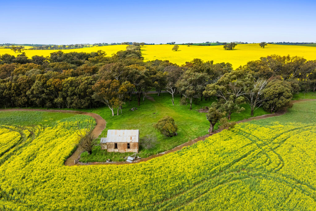 For Sale - 450 Cullinga Road - New Property in Cootamundra - Real Estate by Andrew Pellow