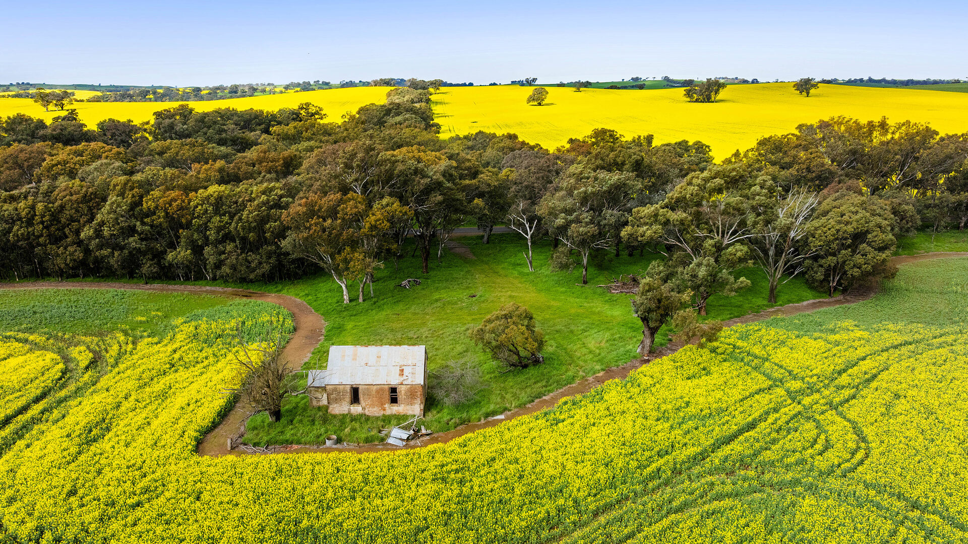 For Sale - 450 Cullinga Road - New Property in Cootamundra - Real Estate by Andrew Pellow