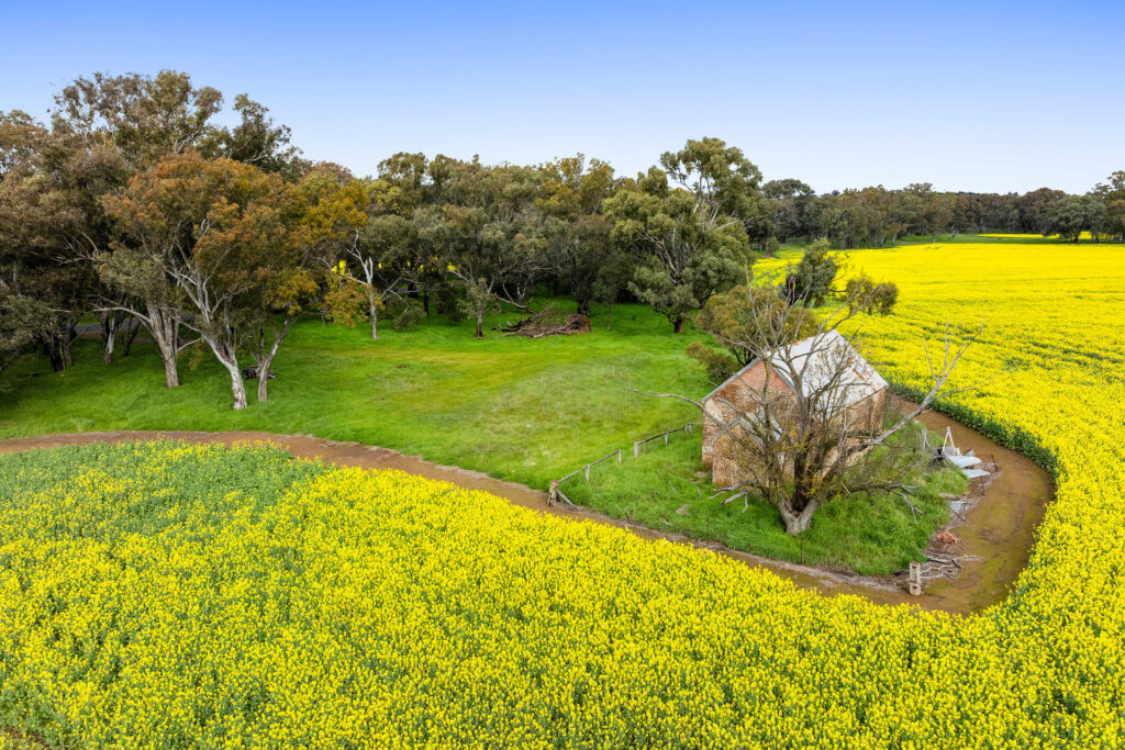For Sale - 450 Cullinga Road - New Property in Cootamundra - Real Estate by Andrew Pellow