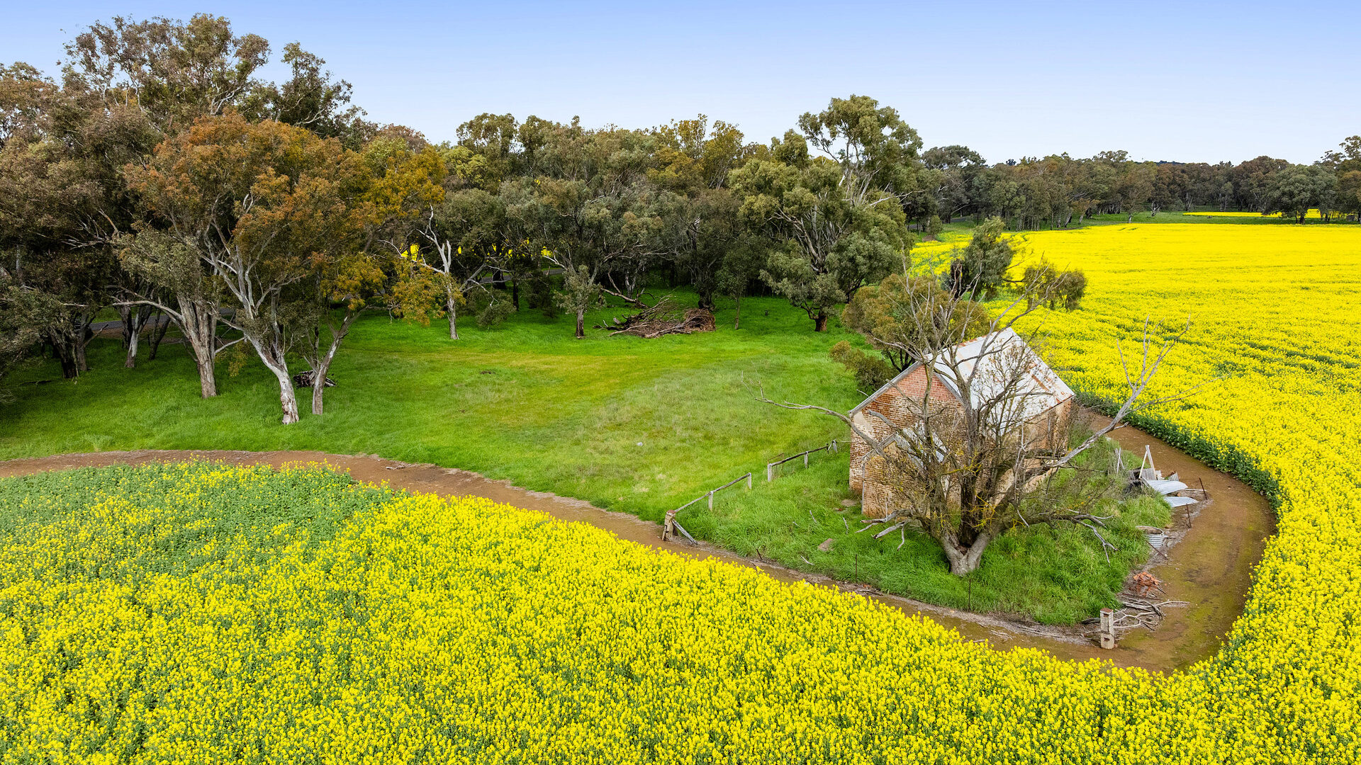 For Sale - 450 Cullinga Road - New Property in Cootamundra - Real Estate by Andrew Pellow