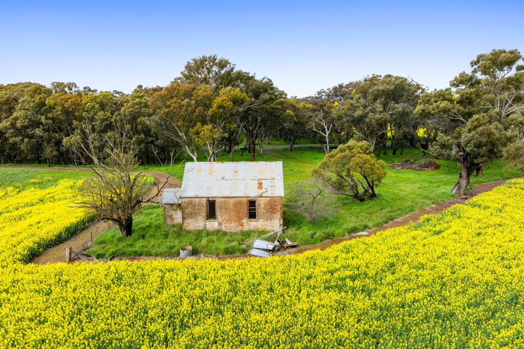 For Sale - 450 Cullinga Road - New Property in Cootamundra - Real Estate by Andrew Pellow