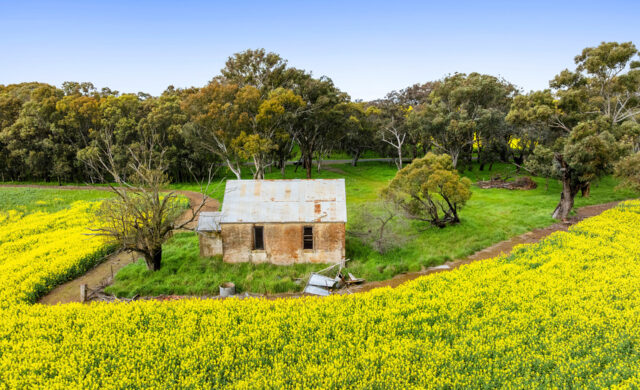 For Sale - 450 Cullinga Road - New Property in Cootamundra - Real Estate by Andrew Pellow