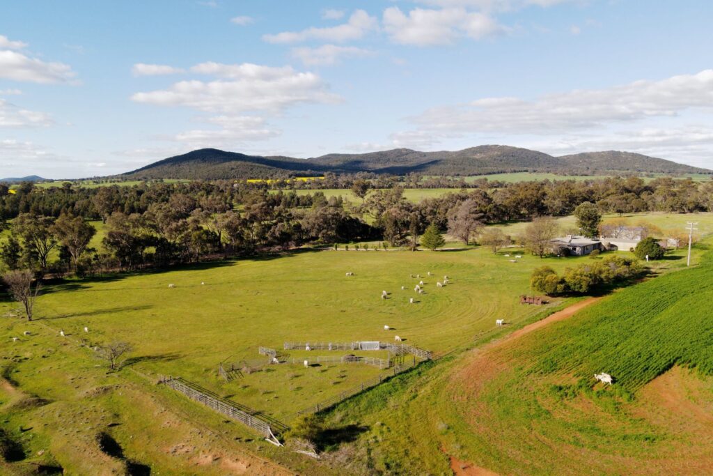 For Sale - 318 Post Office Road - New Property in Trungley Hall - Real Estate by Lachlan Pellow