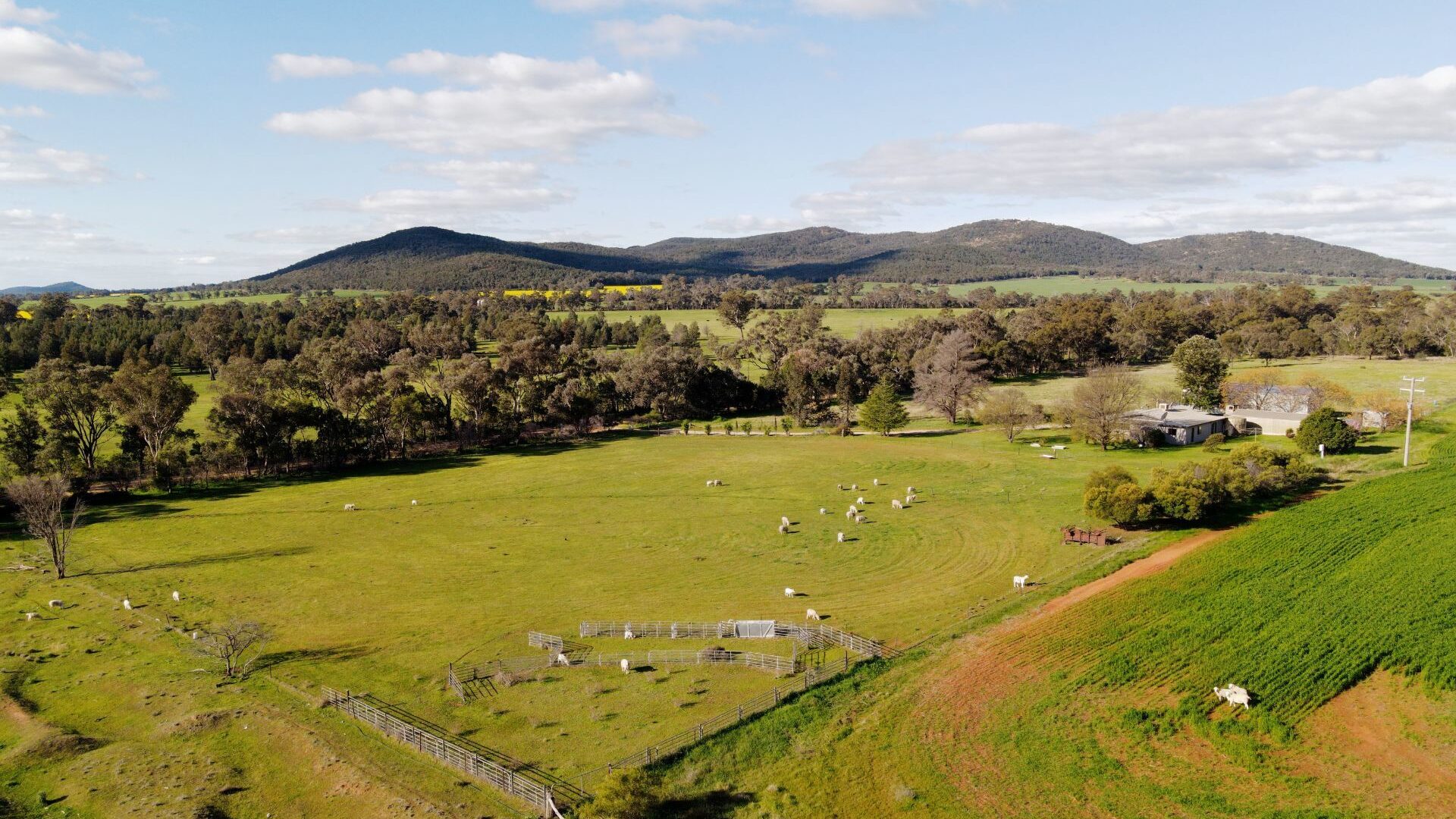For Sale - 318 Post Office Road - New Property in Trungley Hall - Real Estate by Lachlan Pellow