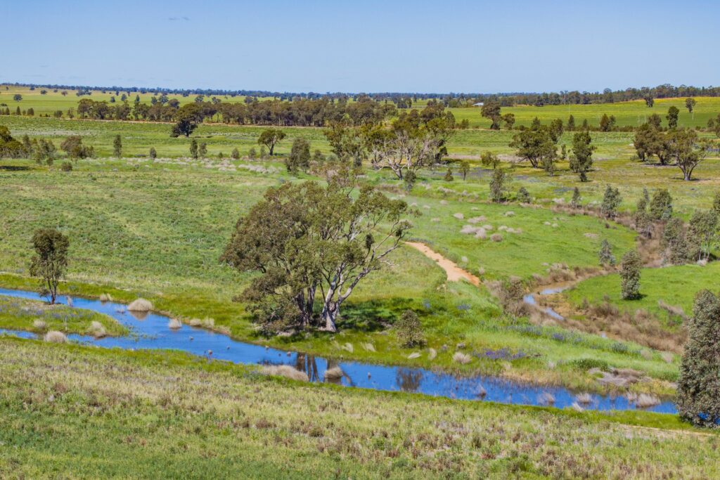 For Sale - 584 Willows Road - New Property in Ardlethan - Real Estate by Jason Haines