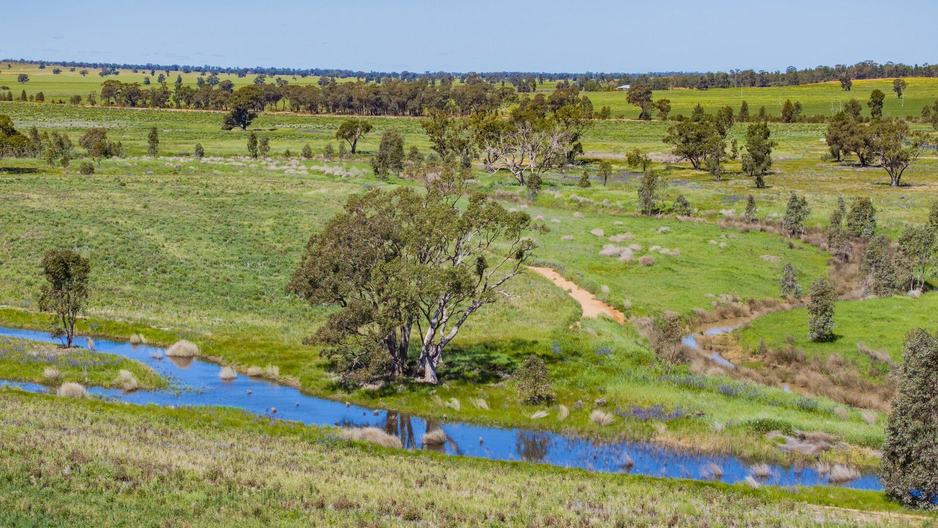For Sale - 584 Willows Road - New Property in Ardlethan - Real Estate by Jason Haines