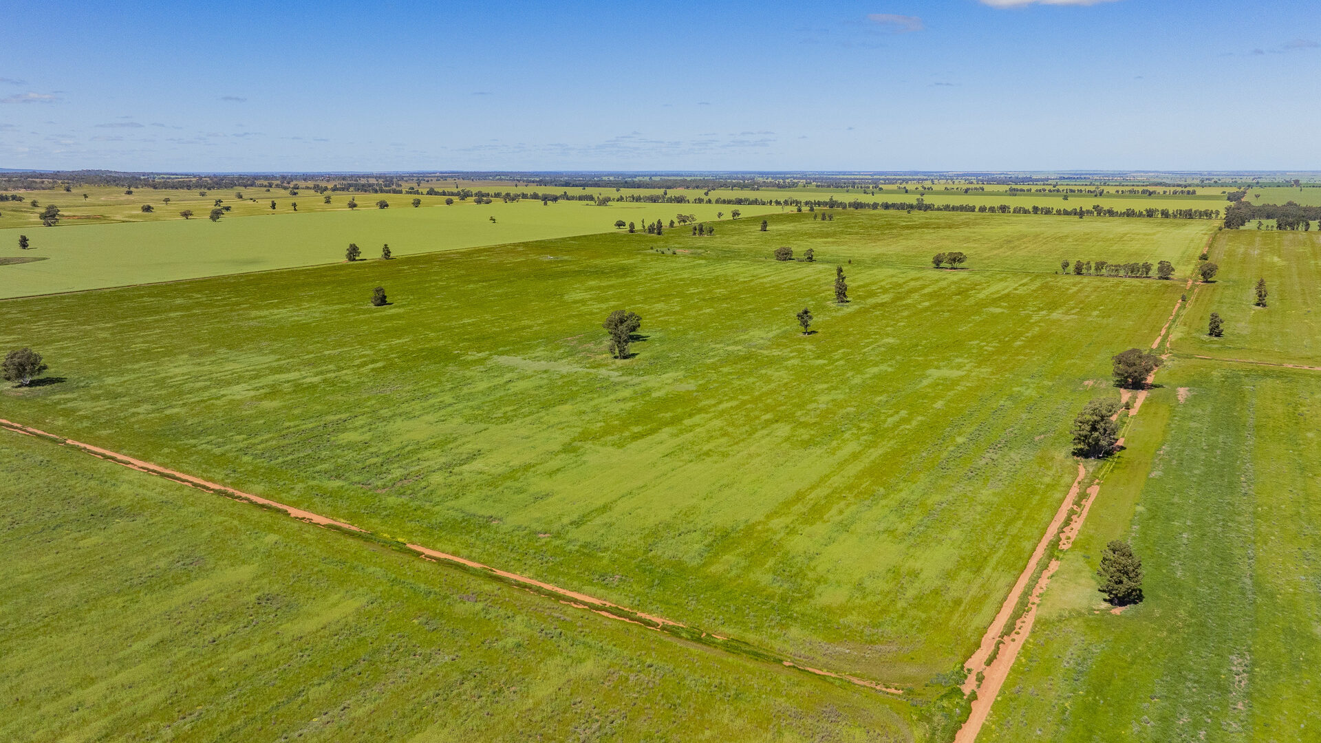 For Sale - 584 Willows Road - New Property in Ardlethan - Real Estate by Jason Haines