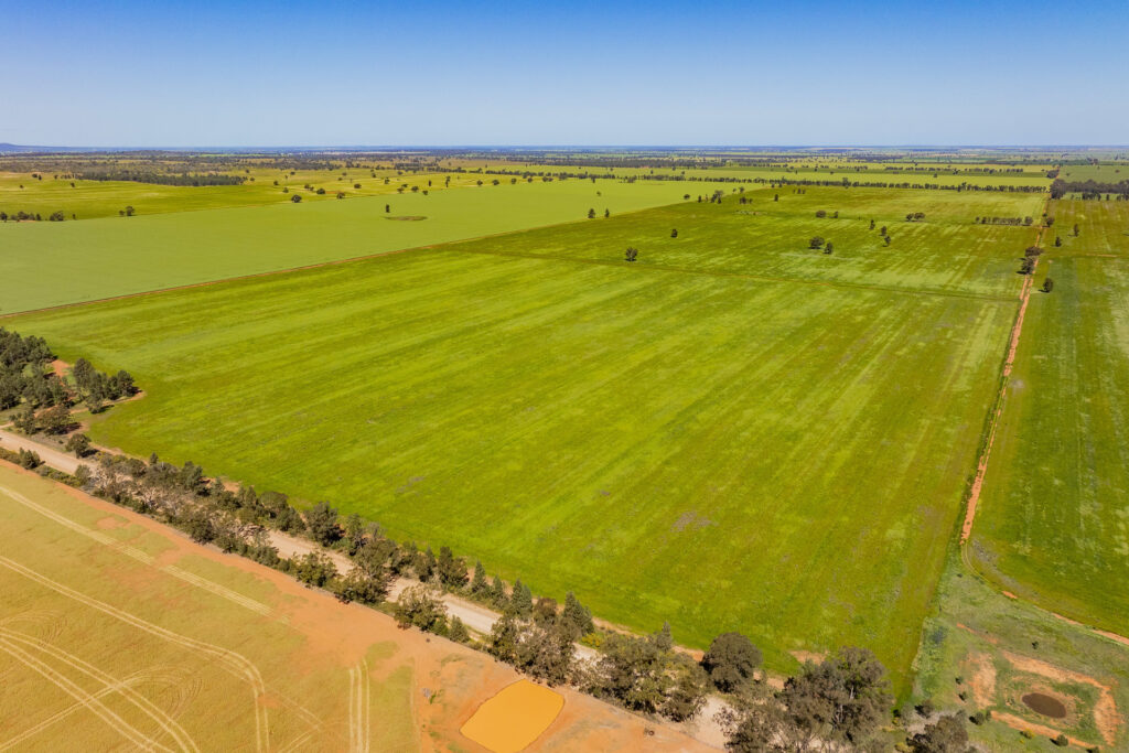 For Sale - 584 Willows Road - New Property in Ardlethan - Real Estate by Jason Haines