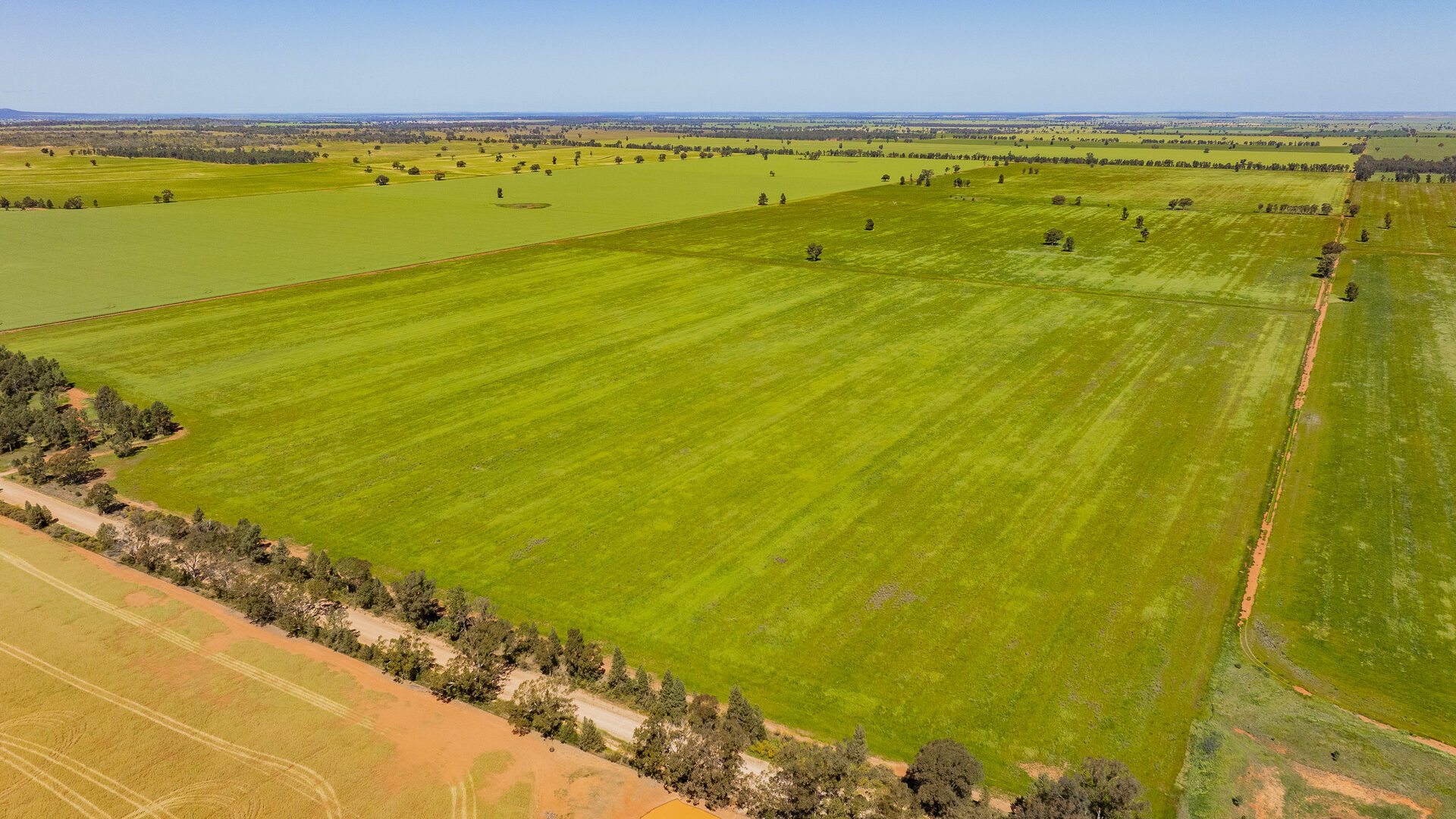 For Sale - 584 Willows Road - New Property in Ardlethan - Real Estate by Jason Haines