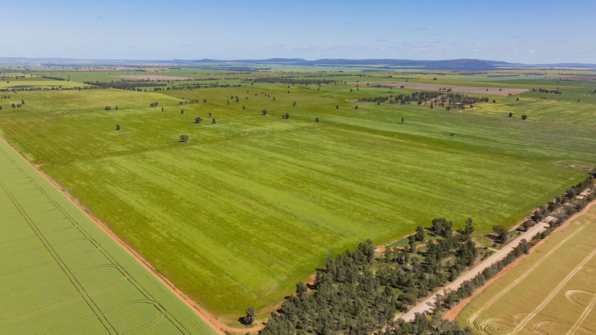 For Sale - 584 Willows Road - New Property in Ardlethan - Real Estate by Jason Haines