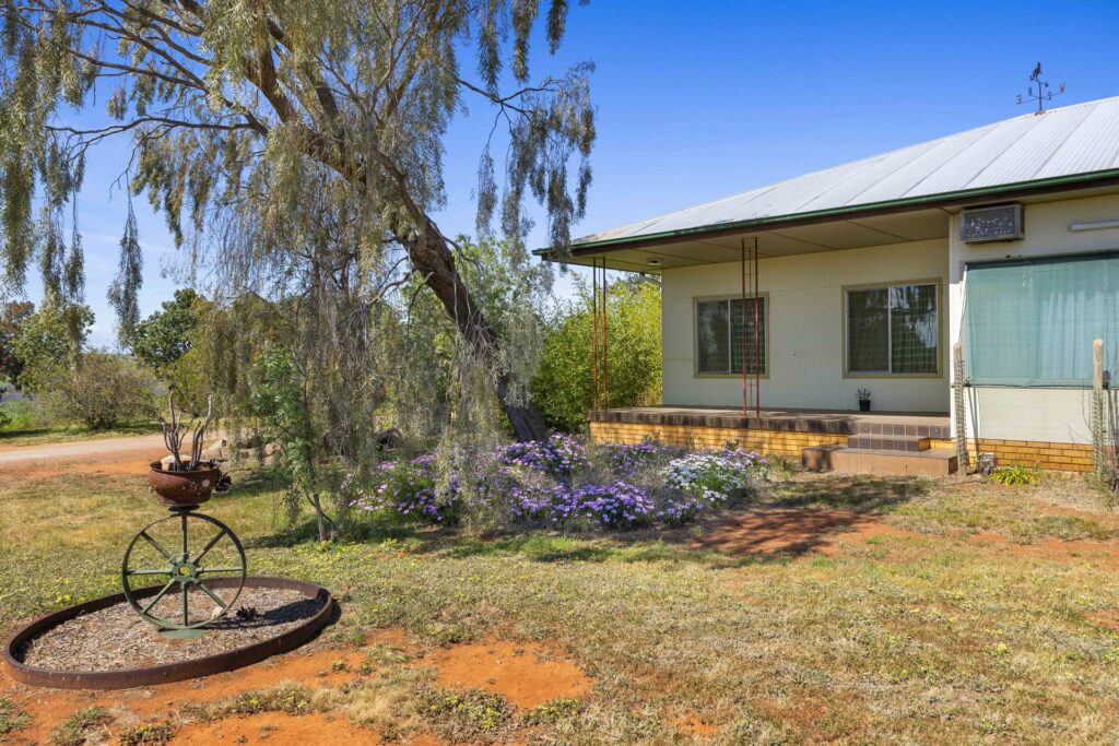 For Sale - 584 Willows Road - New Property in Ardlethan - Real Estate by Jason Haines