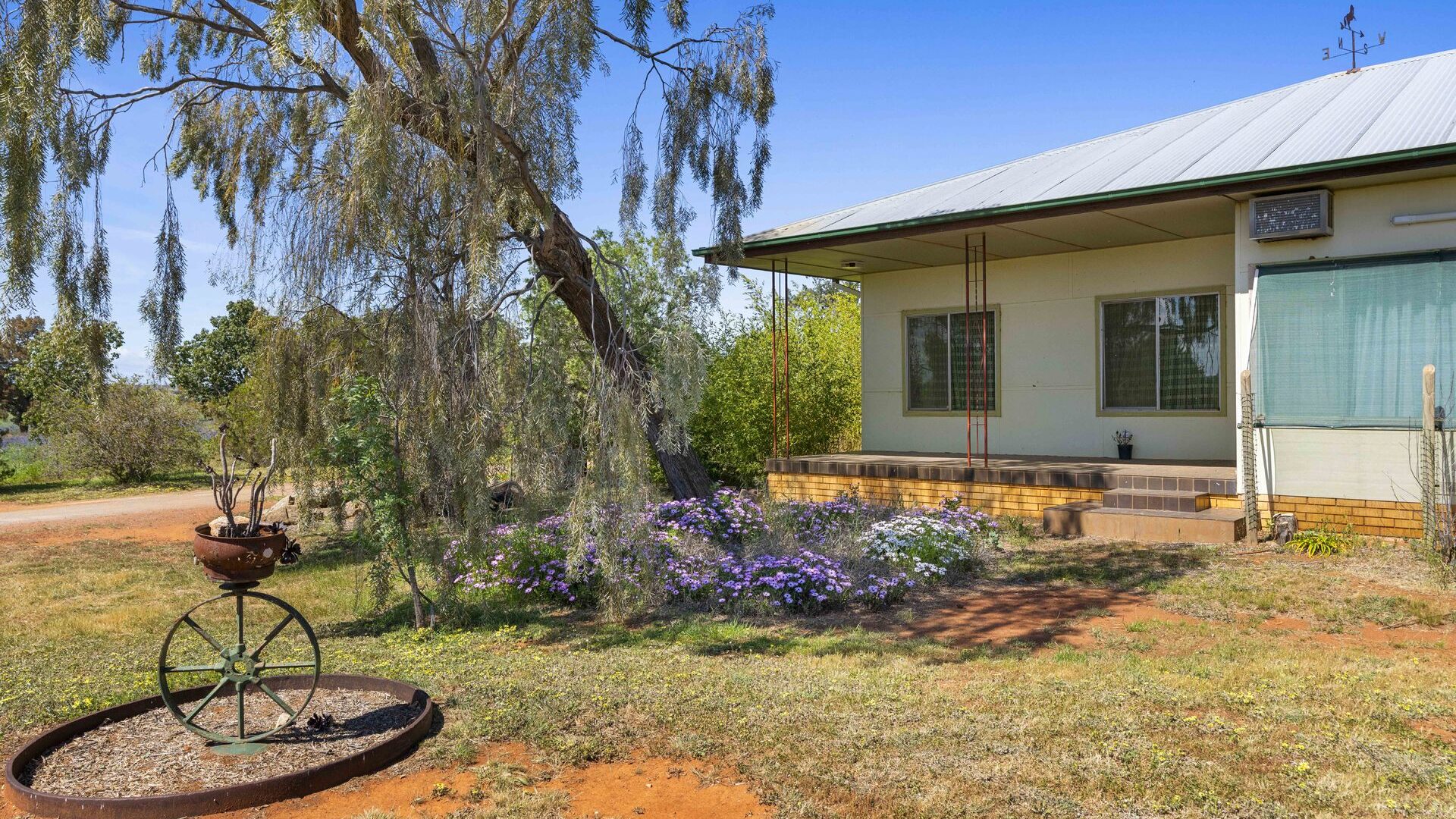 For Sale - 584 Willows Road - New Property in Ardlethan - Real Estate by Jason Haines