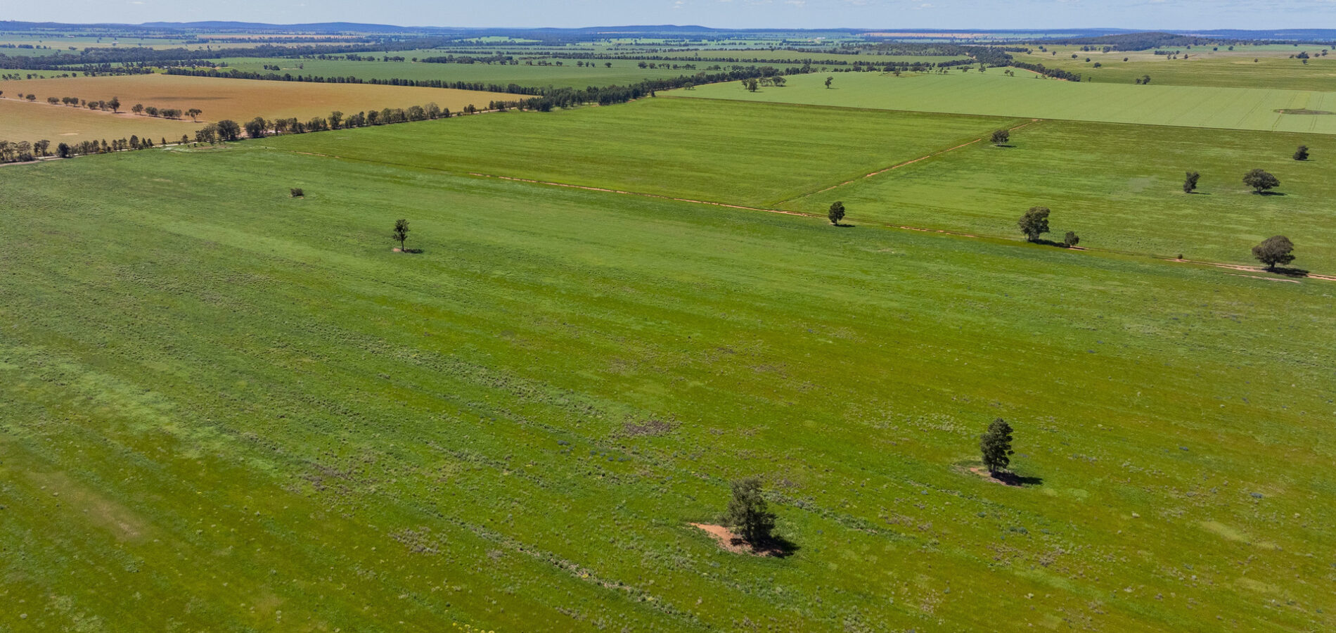 For Sale - 584 Willows Road - New Property in Ardlethan - Real Estate by Jason Haines