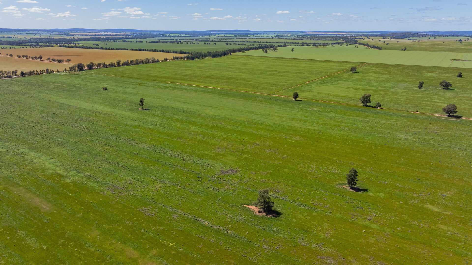 For Sale - 584 Willows Road - New Property in Ardlethan - Real Estate by Jason Haines