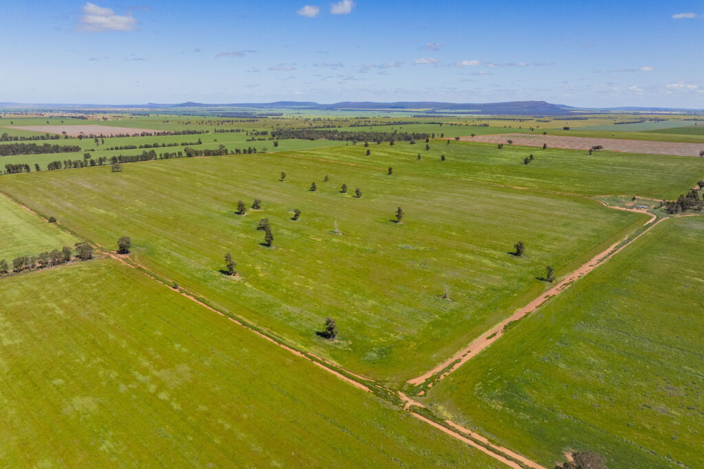 For Sale - 584 Willows Road - New Property in Ardlethan - Real Estate by Jason Haines
